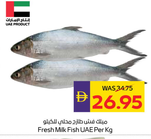 available at ADCOOP in UAE - Abu Dhabi