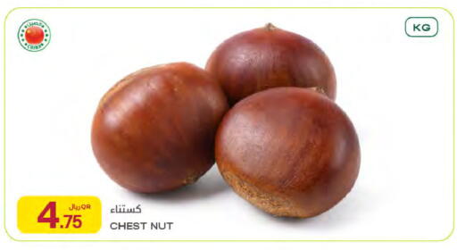 available at Al Meera in Qatar - Doha