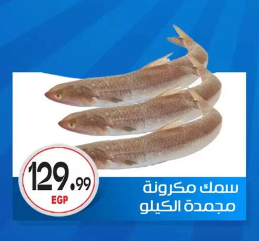 available at أولاد المحاوى in Egypt - القاهرة