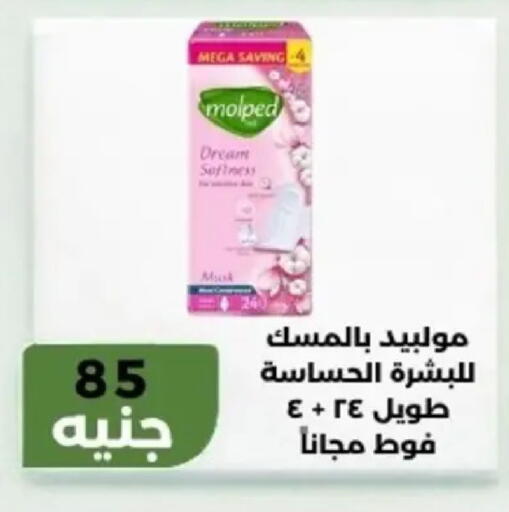 available at Khan Elhussein in Egypt - Cairo