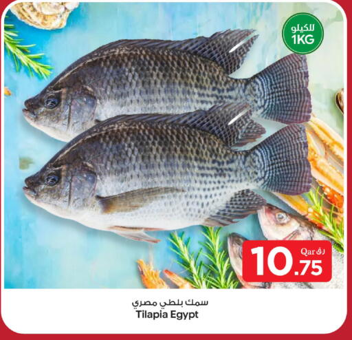 available at بن داود in قطر - الدوحة