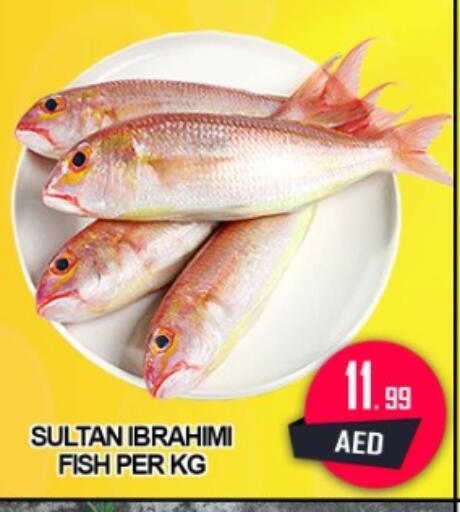 available at جرين جيفت متجر أقسام in الإمارات العربية المتحدة , الامارات - دبي