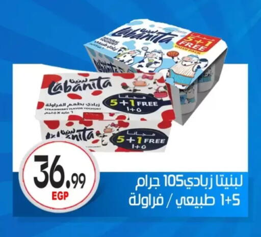 Strawberry available at أولاد المحاوى in Egypt - القاهرة