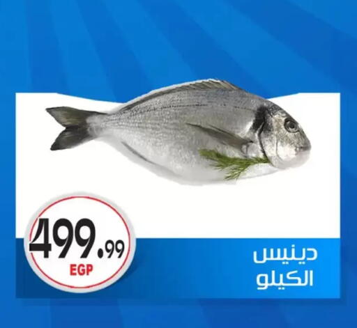 available at أولاد المحاوى in Egypt - القاهرة