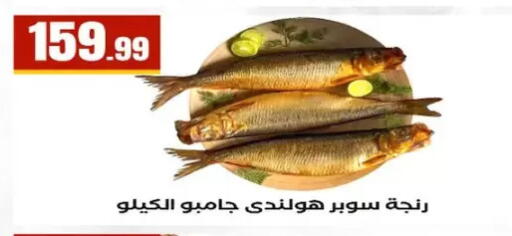 available at مارت فيل in Egypt - القاهرة