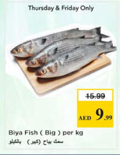available at Nesto Hypermarket in UAE - Sharjah / Ajman