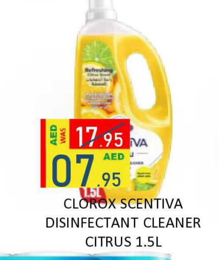 available at ROYAL GULF HYPERMARKET LLC in UAE - Abu Dhabi