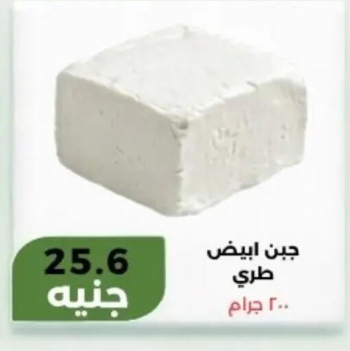 available at Khan Elhussein in Egypt - Cairo