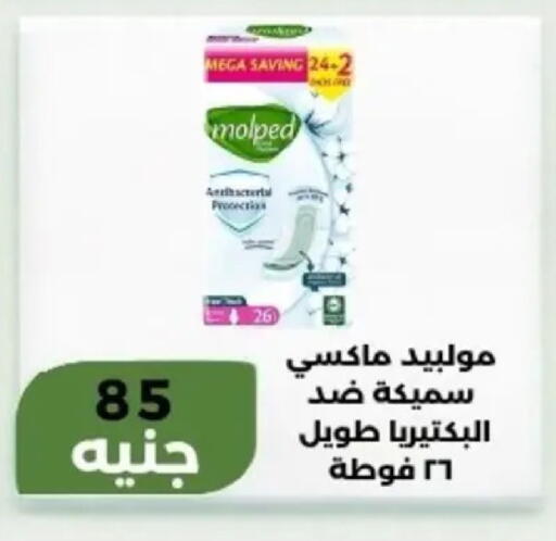 available at Khan Elhussein in Egypt - Cairo