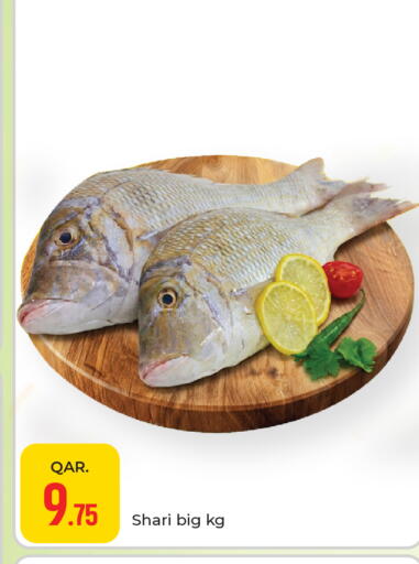 available at باريس هايبرماركت in قطر - الريان