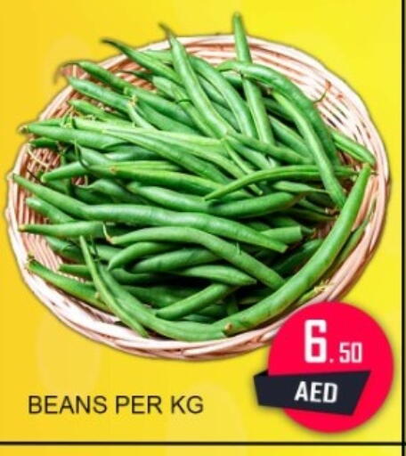 available at جرين جيفت متجر أقسام in الإمارات العربية المتحدة , الامارات - دبي