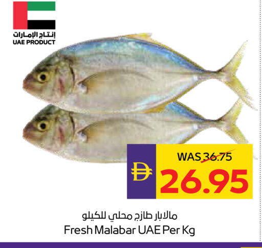available at ADCOOP in UAE - Abu Dhabi