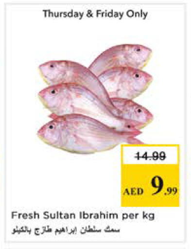 available at نستو هايبرماركت in الإمارات العربية المتحدة , الامارات - دبي
