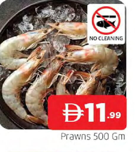 available at المدينة in الإمارات العربية المتحدة , الامارات - الشارقة / عجمان