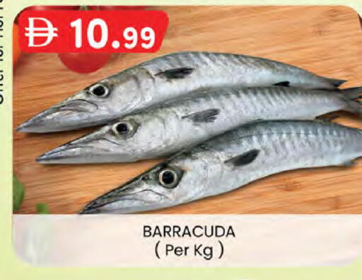 available at K M Trading  in UAE - Dubai