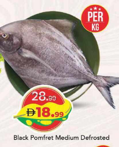 available at Mark & Save in UAE - Sharjah / Ajman