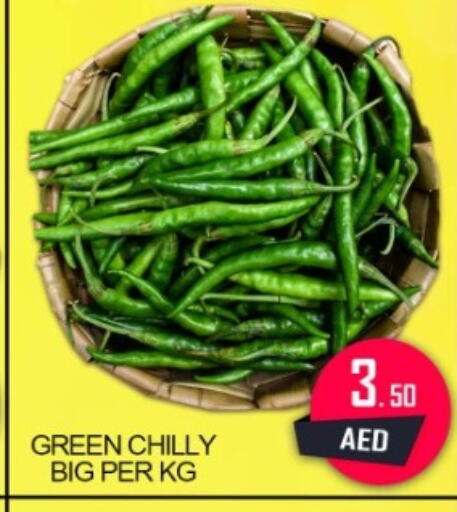 available at جرين جيفت متجر أقسام in الإمارات العربية المتحدة , الامارات - دبي
