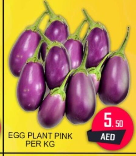available at جرين جيفت متجر أقسام in الإمارات العربية المتحدة , الامارات - دبي