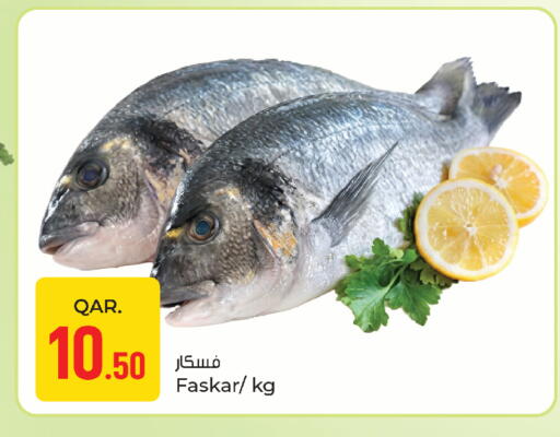 available at باريس هايبرماركت in قطر - الوكرة