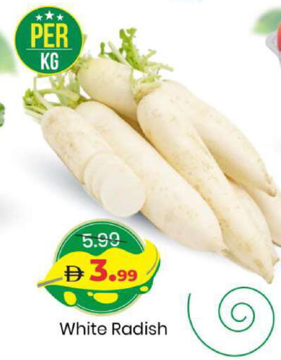 Radish available at مارك & سيف in الإمارات العربية المتحدة , الامارات - أبو ظبي
