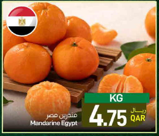 from Egypt available at ســبــار in قطر - الريان