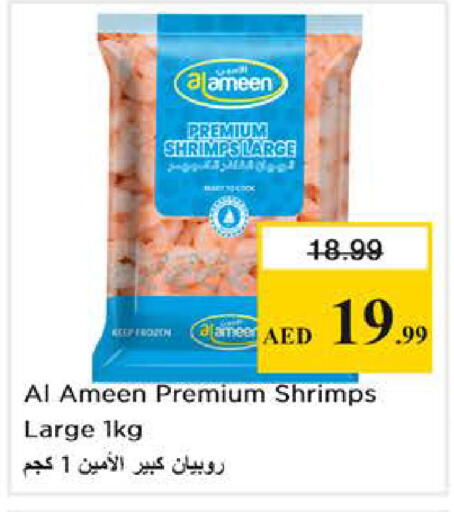 available at نستو هايبرماركت in الإمارات العربية المتحدة , الامارات - أبو ظبي