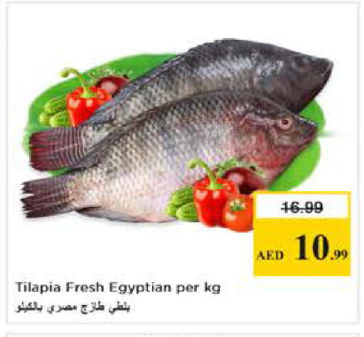 available at Nesto Hypermarket in UAE - Abu Dhabi