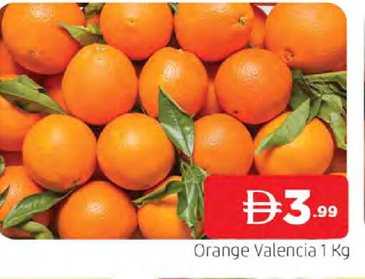 Orange available at المدينة in الإمارات العربية المتحدة , الامارات - الشارقة / عجمان