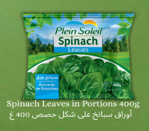 Spinach available at Carrefour in Qatar - Al Rayyan