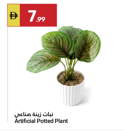 available at Grand Emirates Market in UAE - Abu Dhabi