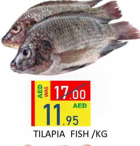 available at ROYAL GULF HYPERMARKET LLC in UAE - Abu Dhabi