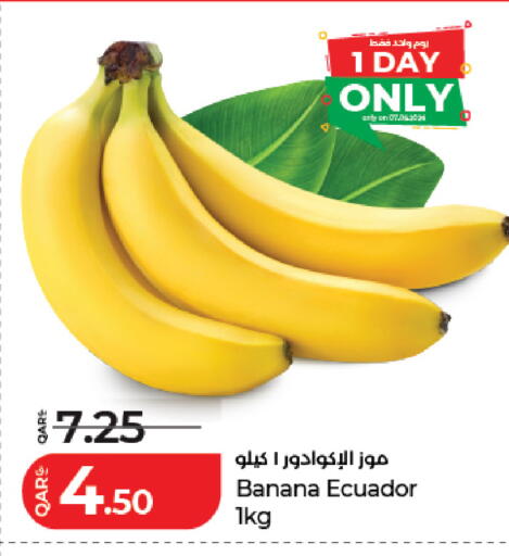 Banana from Ecuador available at لولو هايبرماركت in قطر - الوكرة