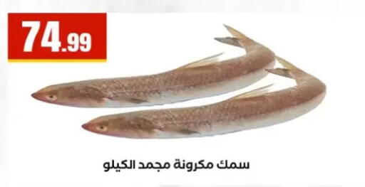 available at مارت فيل in Egypt - القاهرة