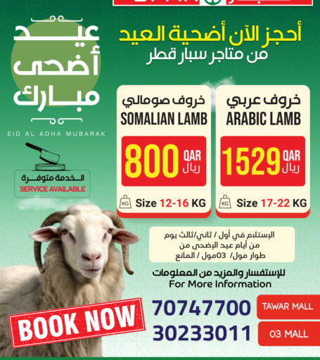 available at ســبــار in قطر - الضعاين