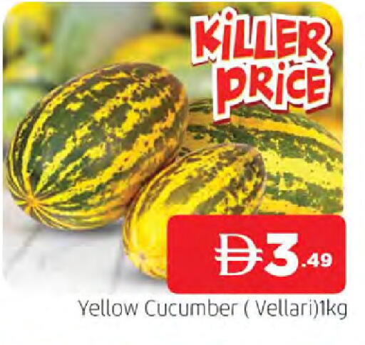 Cucumber available at المدينة in الإمارات العربية المتحدة , الامارات - الشارقة / عجمان