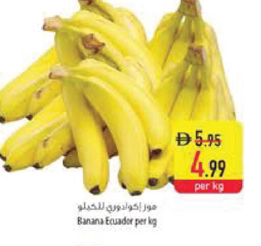 Banana from Ecuador available at السفير ماركت in الإمارات العربية المتحدة , الامارات - ٱلْفُجَيْرَة‎