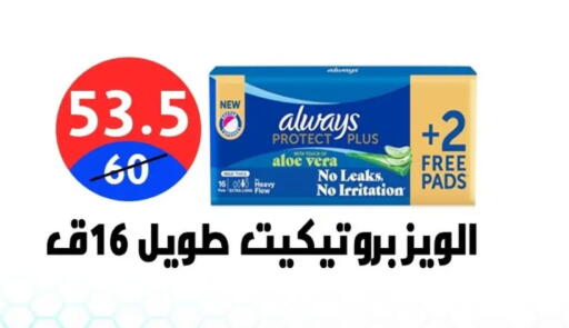 available at هايبر المدينة دمياط in Egypt - القاهرة
