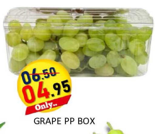 available at ROYAL GULF HYPERMARKET LLC in UAE - Abu Dhabi