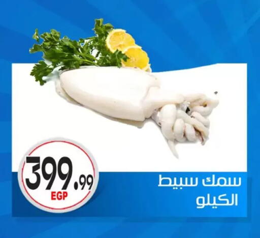 available at أولاد المحاوى in Egypt - القاهرة