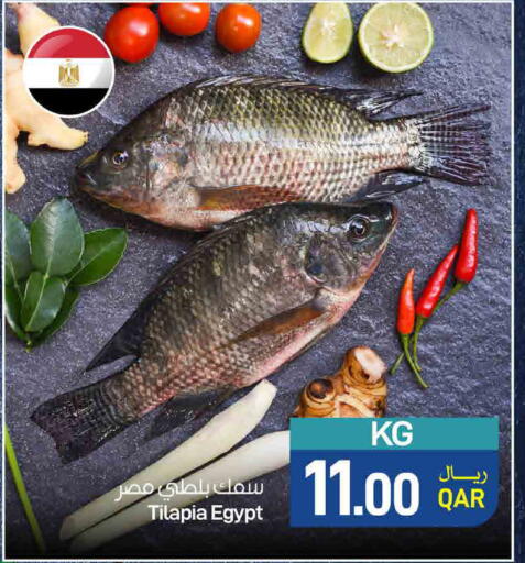 available at SPAR in Qatar - Doha
