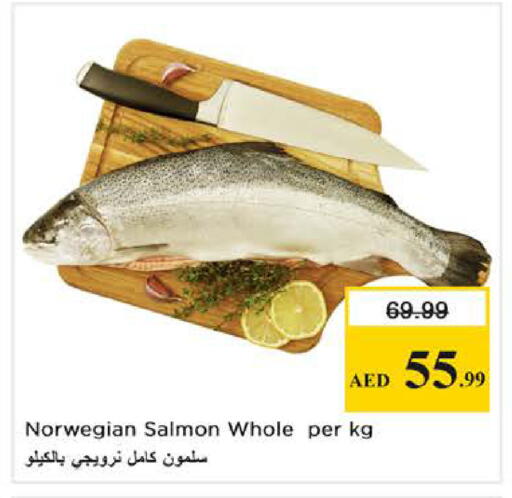 available at نستو هايبرماركت in الإمارات العربية المتحدة , الامارات - الشارقة / عجمان