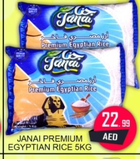 available at جرين جيفت متجر أقسام in الإمارات العربية المتحدة , الامارات - دبي