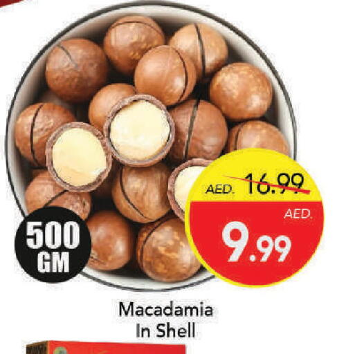 available at مارك & سيف in الإمارات العربية المتحدة , الامارات - دبي