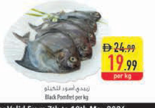 available at السفير ماركت in الإمارات العربية المتحدة , الامارات - ٱلْفُجَيْرَة‎