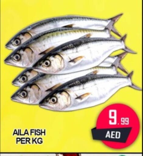 available at جرين جيفت متجر أقسام in الإمارات العربية المتحدة , الامارات - دبي