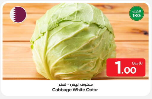 Cabbage from Qatar available at بن داود in قطر - الدوحة