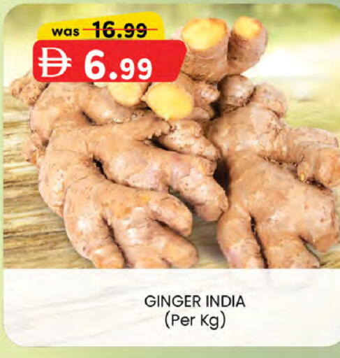 Ginger from India available at صفا اكسبريس سوبرماركت in الإمارات العربية المتحدة , الامارات - أبو ظبي