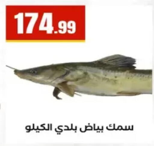 available at مارت فيل in Egypt - القاهرة