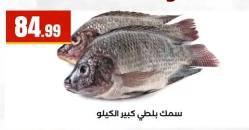 available at مارت فيل in Egypt - القاهرة