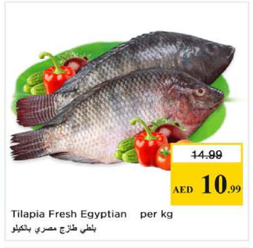 available at نستو هايبرماركت in الإمارات العربية المتحدة , الامارات - الشارقة / عجمان